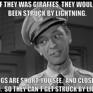 Meet your Posher, Ron